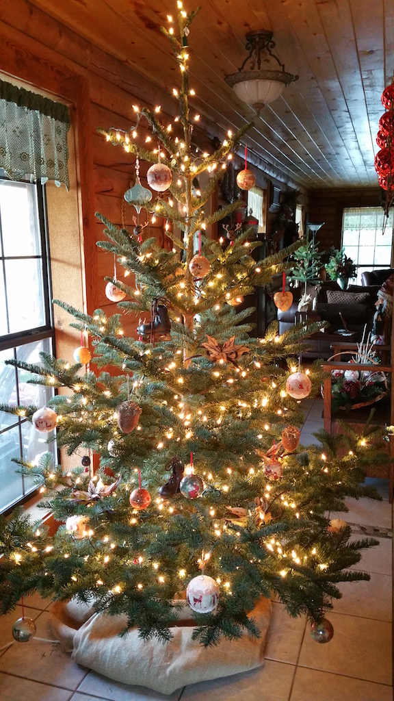 Glenda Tree2015